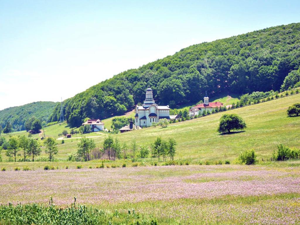 Casa Bradet Casa de hóspedes Întorsura Buzăului Exterior foto